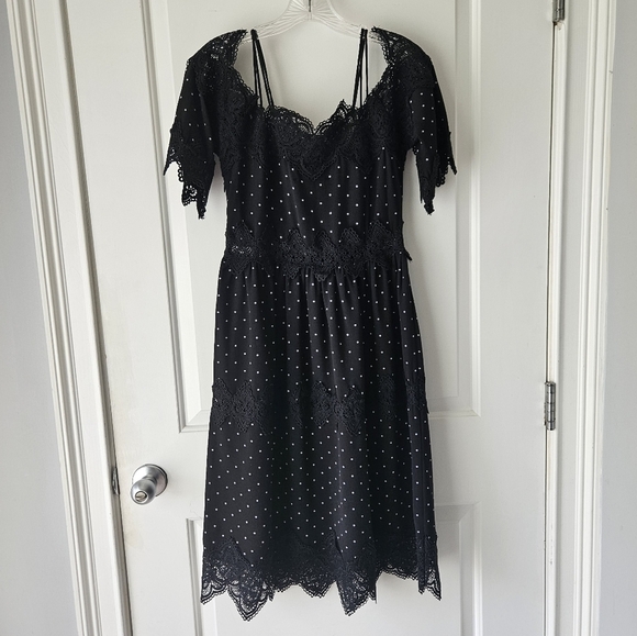 Lace Polka Dot Black Dress - Picture 6 of 8